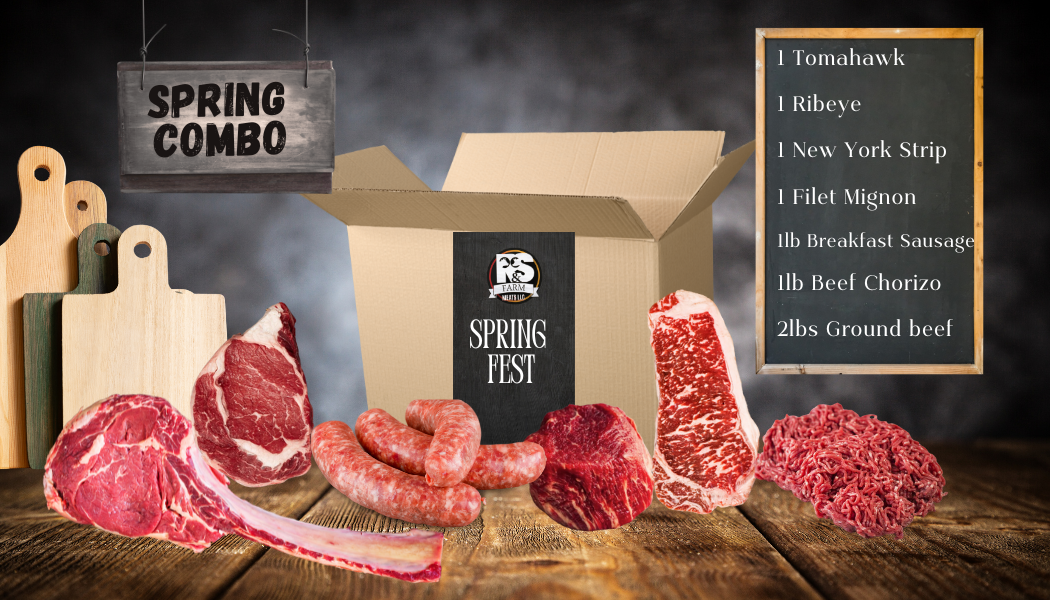 Spring Fest Combo